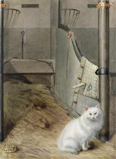 White Persian Cat in a Stable by Lady Charlotte Schreiber